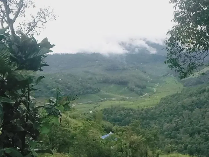 Homes Vagamon